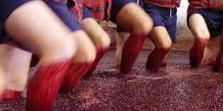 2009 DOWS LBV PORT 2009 DOWS LBV PORT