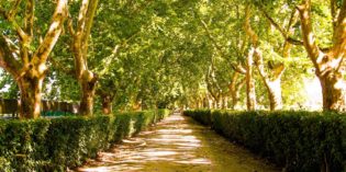 ROMAN RUINS, GOTHIC CASTLES AND WINE – TEJO, PORTUGAL ROMAN RUINS, GOTHIC CASTLES AND WINE – TEJO, PORTUGAL