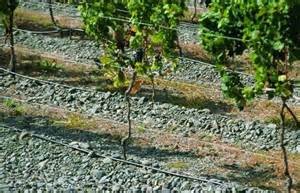 Gimblett Gravels New Zealand