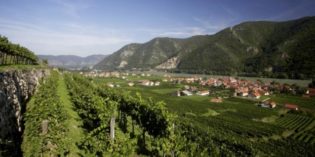 AUSTRIA’S WALTZING VARIETAL – THE HILLS ARE ALIVE WITH THE SOUND OF RIESLING AUSTRIA’S WALTZING VARIETAL – THE HILLS ARE ALIVE WITH THE SOUND OF RIESLING