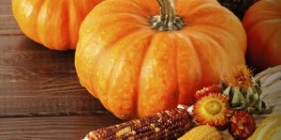 GAME ON – TWO WINES FOR TURKEY DAY GAME ON – TWO WINES FOR TURKEY DAY