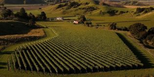 BEYOND SAUVIGNON BLANC – PRIME TIME FOR PINOT NOIR IN NEW ZEALAND BEYOND SAUVIGNON BLANC – PRIME TIME FOR PINOT NOIR IN NEW ZEALAND