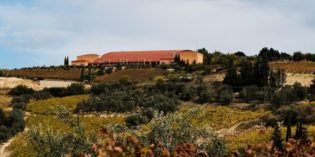 MEDITERRANEAN WINES PICKED BY A MASTER SOMMELIER MEDITERRANEAN WINES PICKED BY A MASTER SOMMELIER
