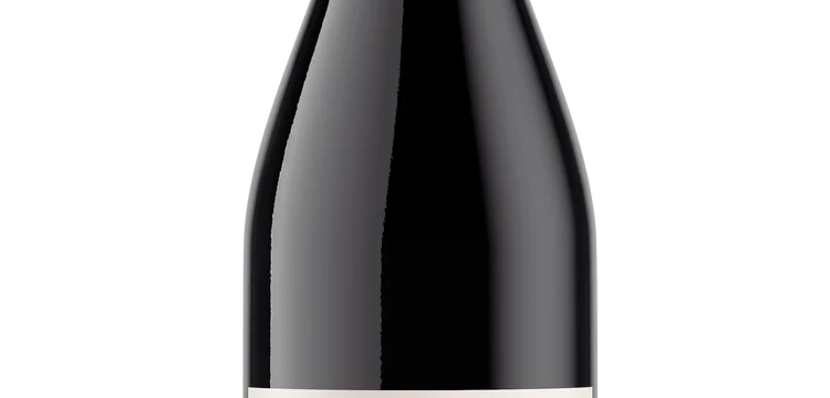 2023 Domaine St. Laurent Pinot Noir Rogue Valley