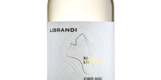 2024 Librandi Sergio Librandi Ciro Bianco